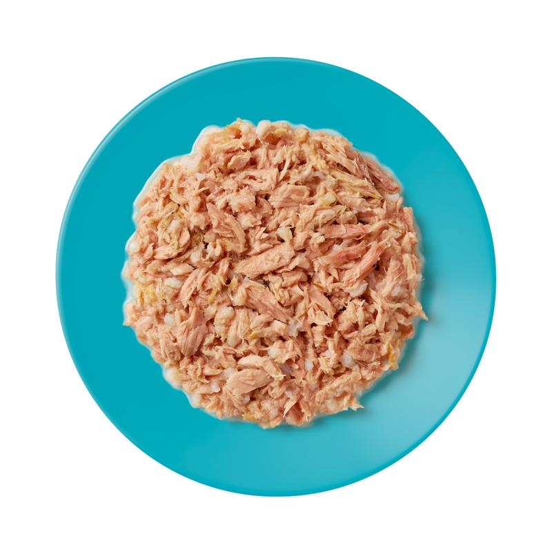 Canned Cat Treat - Tuna Fillet in Broth