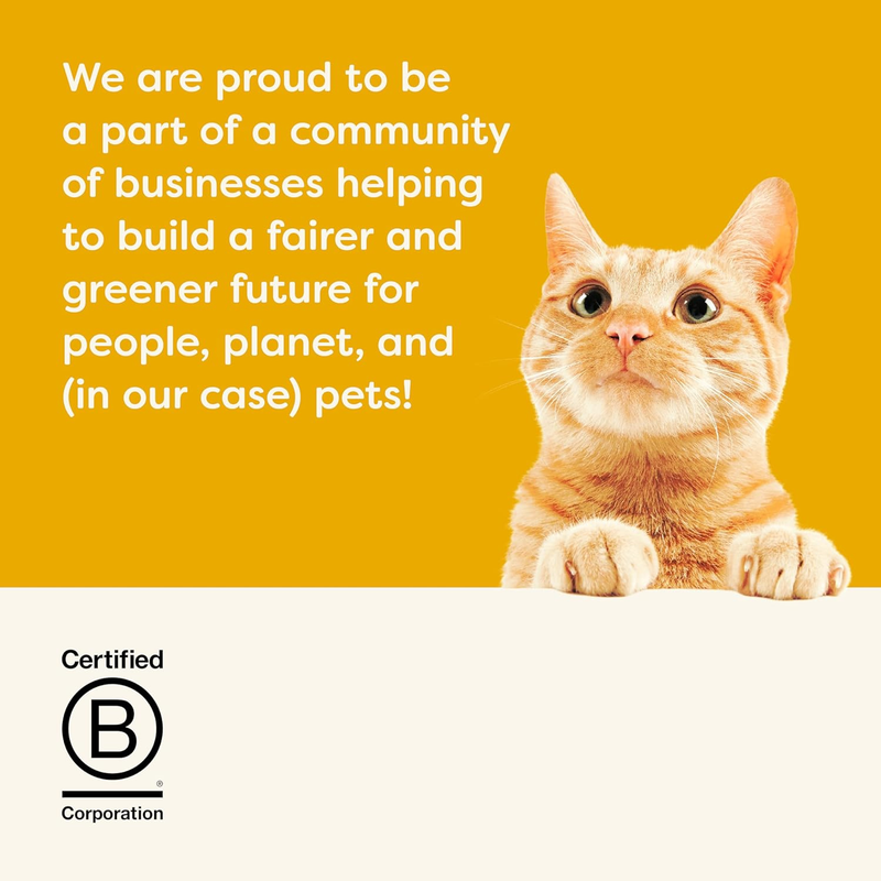 Canned Cat Treat - Chicken Breast & Pumpkin in Broth