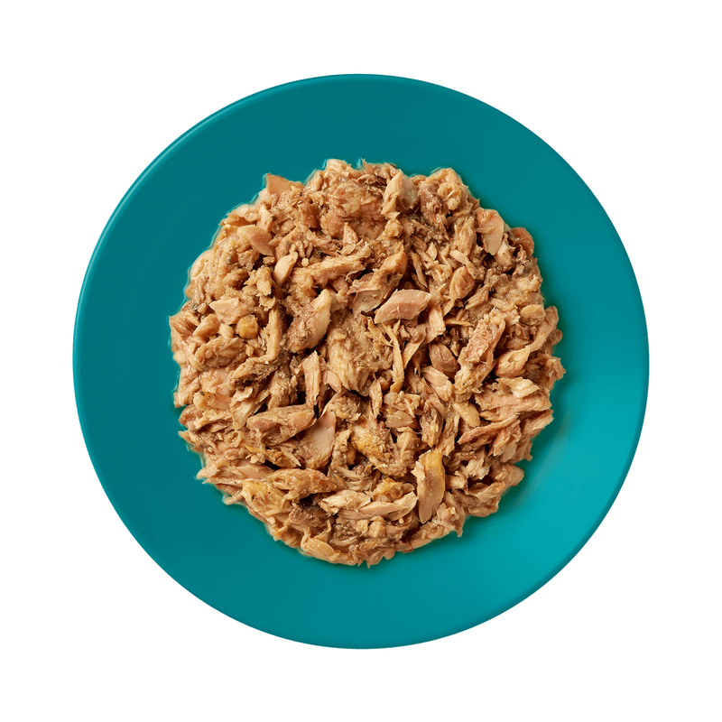 Gâterie pour chats en conserve - poisson océan dans le bouillon