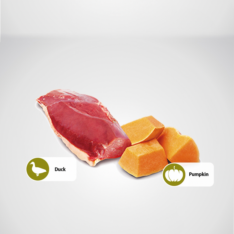 成年狗罐头 - N & D - 南瓜 - 鸭肉南瓜 - 小型犬