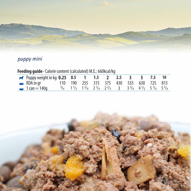 Alimentation en conserve pour chiens - N&D - Pumpkin - Agneau, citrouille et myrtille - Puppy Mini - 4,9 oz