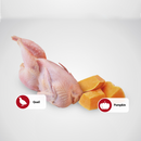 Canned Dog Food - N & D - PUMPKIN - Quail & Pumpkin - Adult