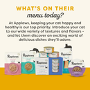 Side Dish Cat Treat - Chicken Breast Recipe in Broth