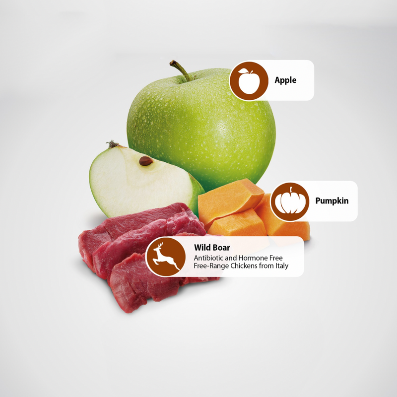 Canned Dog Food - N & D - PUMPKIN - Venison & Pumpkin - Adult