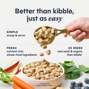 Freeze Dried Cat Food - FreshDried Raw Meals - Cage Free Chicken - Adult