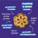Soft & Chewy Dog Treat - Skinny Minis - Pumpkin & Berry Flavor