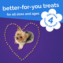 Soft & Chewy Dog Treat - Skinny Minis - Pumpkin & Berry Flavor