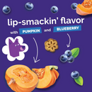 Soft & Chewy Dog Treat - Skinny Minis - Pumpkin & Berry Flavor