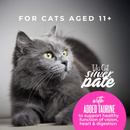 猫罐头 - SILVER慕斯系列 - 鸡肉配方佐汤汁