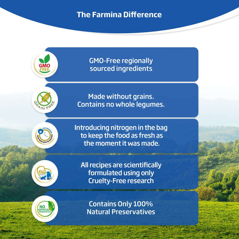 Canned Dog Food - N & D - QUINOA - Digestion Lamb - Adult