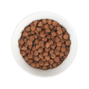 Alimentation sèche pour chats - Carnivore Baby - Kitten Santé: Poulet et œuf débondé - 2,8 lb