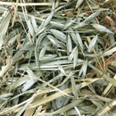 Oat Hay
