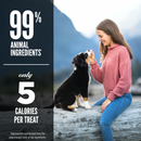 Freeze Dried Dog Treat - Beef Recipe