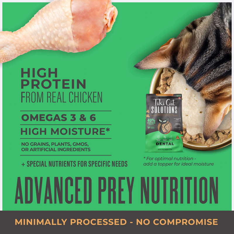 Dry Cat Food - SOLUTIONS - Dental - Chicken Recipe