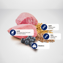 Dry Cat Food - N & D - ANCESTRAL GRAIN - Lamb & Blueberry - Adult