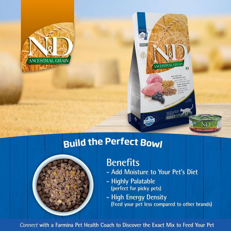 Dry Cat Food - N & D - ANCESTRAL GRAIN - Lamb & Blueberry - Adult