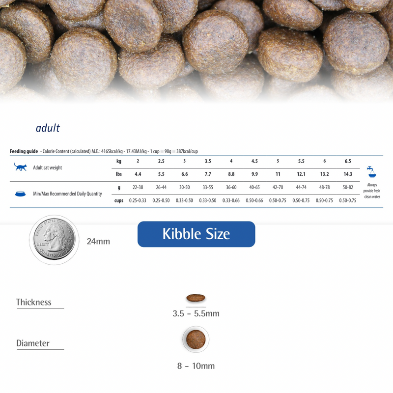 Dry Cat Food - N & D - ANCESTRAL GRAIN - Lamb & Blueberry - Adult