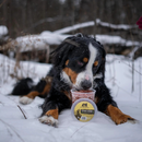 Frozen Raw Food - Gourmet Chicken