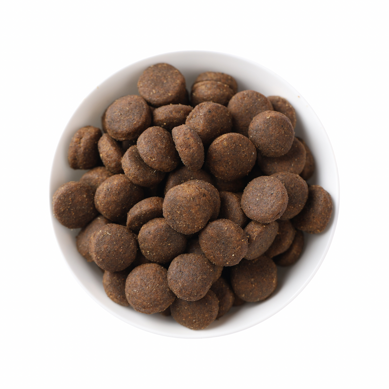 Dry Dog Food - N & D - ANCESTRAL GRAIN - Lamb & Blueberry - Puppy Medium & Maxi