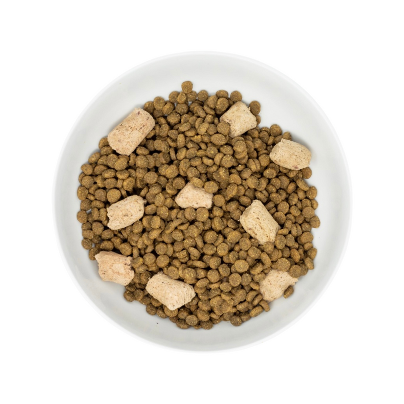 Dry Cat Food - Raw Blend - Cage Free Poultry Recipe