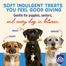 Dog Chewing Treat - YOGURT STICKS - Strawberry Honey