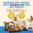 Dog Chewing Treat - YOGURT STICKS - Cranberry Honey