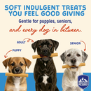 Dog Chewing Treat - YOGURT STICKS - Apple Honey