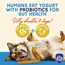 Dog Chewing Treat - YOGURT STICKS - Apple Honey