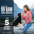 Freeze Dried Dog Treat - Original