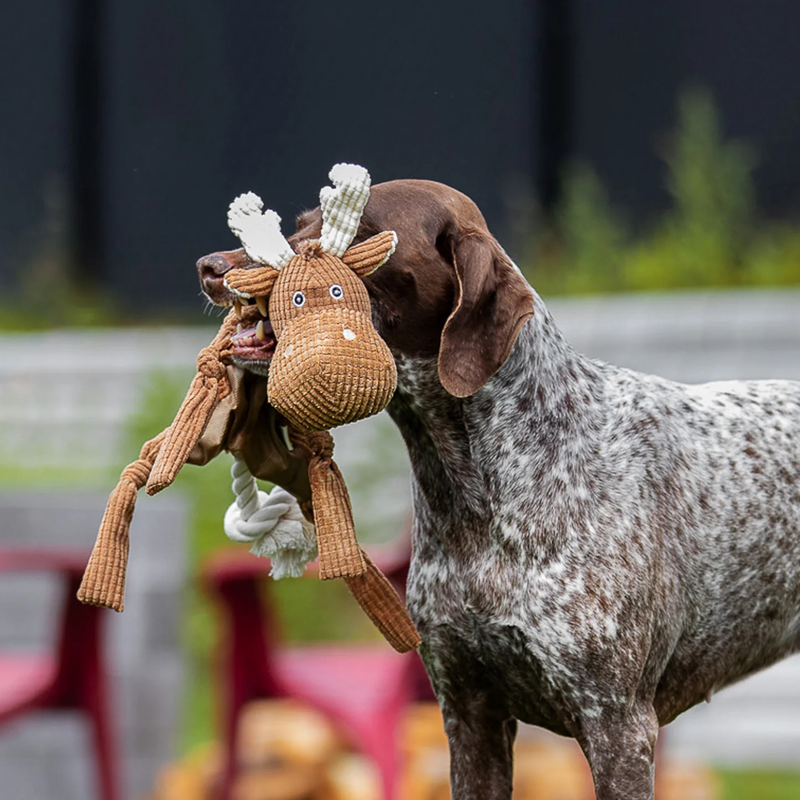 Jouets de chien en peluche - Moose