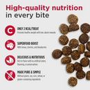 Dog Training Treat - TRAINERS - Salmon Recipe