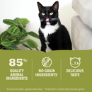 Canned Cat Food - Premium Pâté - Beef Recipe - Adult