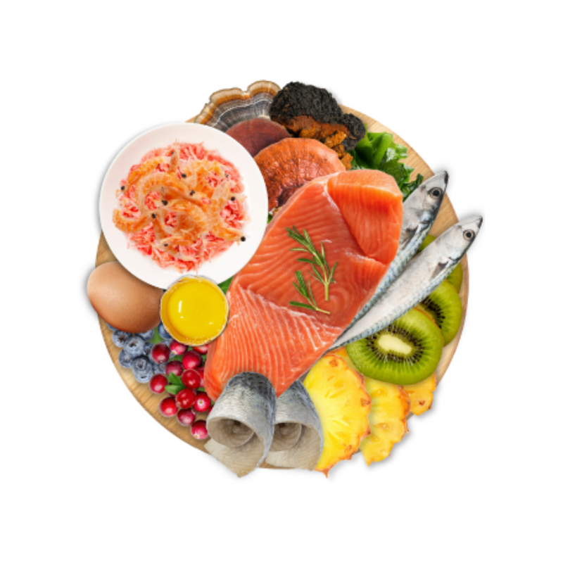 Dry Cat Food - North Atlantic Ocean Fish