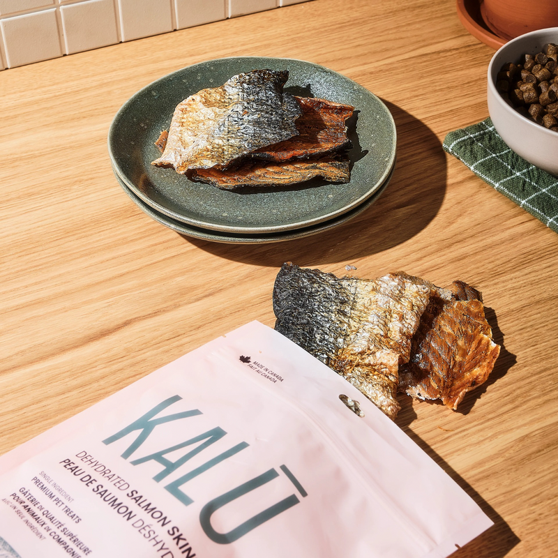 Dehydrated Salmon Skins