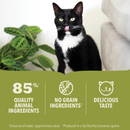 Canned Cat Food - Premium Pâté - Lamb Recipe - Adult