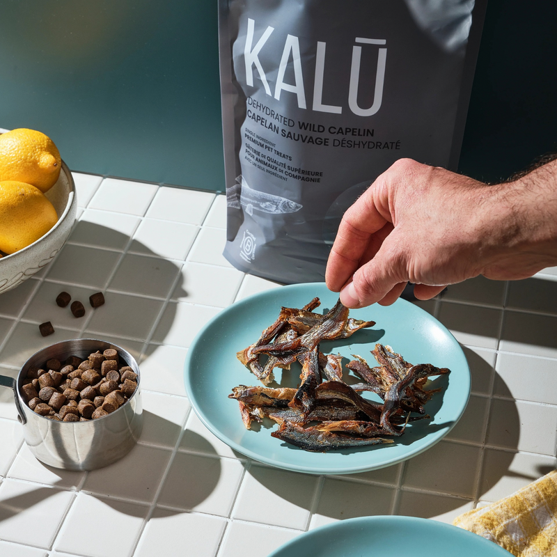 Dehydrated Wild Capelin