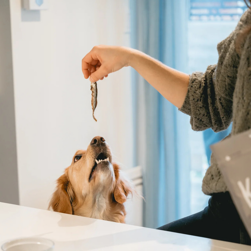 Dehydrated Wild Capelin