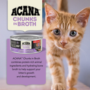 Canned Cat Food - Chunks in Broth - Chicken & Salmon Recipe - Kitten
