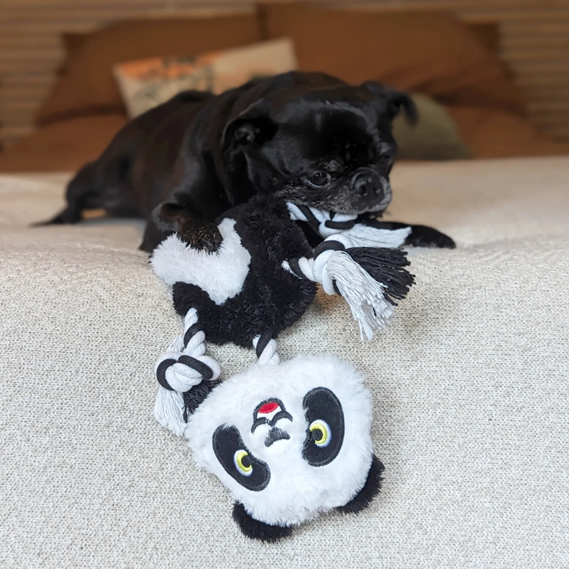 Rope Skeleton Dog Toy - Pango The Panda