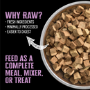 Freeze Dried Dog Food - SUBZERO - Pork & Apple Recipe