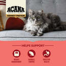 Dry Cat Food - Highest Protein - Indoor Cat - Adult