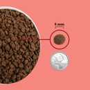 Dry Cat Food - Highest Protein - Indoor Cat - Adult