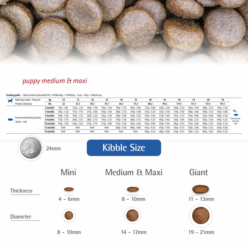 Dry Dog Food - N & D - ANCESTRAL GRAIN - Chicken & Pomegranate - Puppy Medium & Maxi