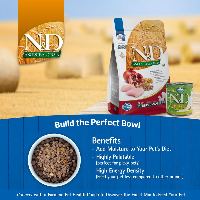 Dry Dog Food - N & D - ANCESTRAL GRAIN - Chicken & Pomegranate - Puppy Medium & Maxi
