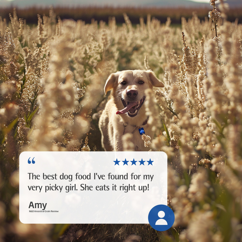 Dry Dog Food - N & D - ANCESTRAL GRAIN - Chicken & Pomegranate - Puppy Medium & Maxi