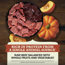 Dry Dog Food - Singles - Limited Ingredient Diet - Beef with Pumpkin Recipe
