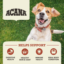 Dry Dog Food - Singles - Limited Ingredient Diet - Beef with Pumpkin Recipe