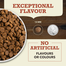 Dry Dog Food - Singles - Limited Ingredient Diet - Beef with Pumpkin Recipe