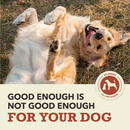 Dry Dog Food - Singles - Limited Ingredient Diet - Beef with Pumpkin Recipe
