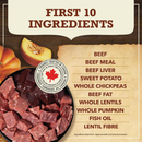 Dry Dog Food - Singles - Limited Ingredient Diet - Beef with Pumpkin Recipe